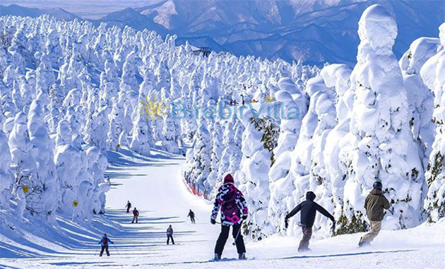 Uçak Biletleri ve Türkiye’deki Fiyatlar Cep Yakıyor, Yine de Tatilden Vazgeçmiyoruz: İşte Ucuz tatil Yapmanın Yolları