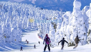 Uçak Biletleri ve Türkiye'deki Fiyatlar Cep Yakıyor, Yine de Tatilden Vazgeçmiyoruz: İşte Ucuz tatil Yapmanın Yolları