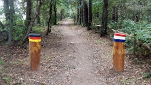 Almanya'dan Hollanda'ya Sınırından Geri Çevirdiği Göçmenler İçin "Özel Bırakma Noktaları" Önerisi