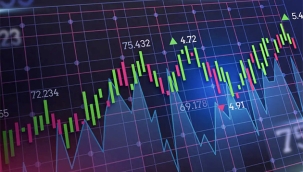 Hollanda'da 300 Kişi Yatırım Dolandırıcılığı Kurbanı Oldu