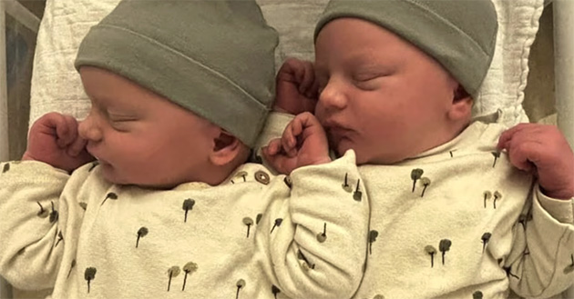 Hollanda'nın Zwolle Kentinde Doğan İkizlerin Doğum Tarihleri Farklı