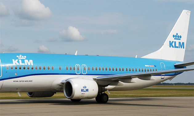 KLM uçağında görülen fare nedeniyle Aruba ve Bonaire’de yolcular mahsur kaldı