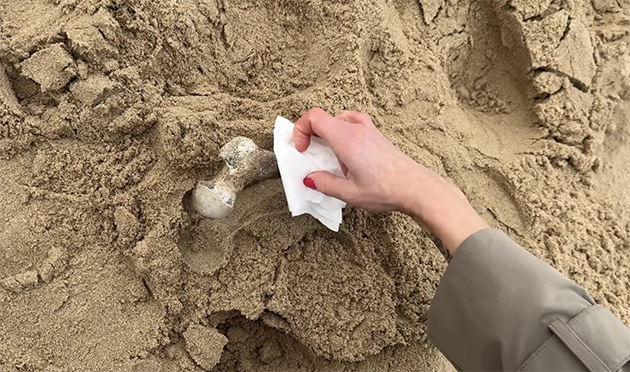 Yıllardır Aranan İki Kişinin Kemik Parçaları Hollanda Sahillerinde Bulundu