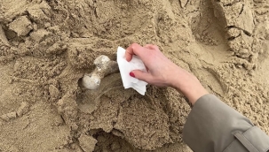 Yıllardır Aranan İki Kişinin Kemik Parçaları Hollanda Sahillerinde Bulundu