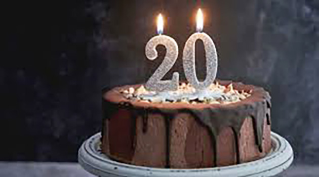 ZZP Nederland 20’nci Yılını Kutluyor: Ücretsiz Üyelik Ve E-Kitap