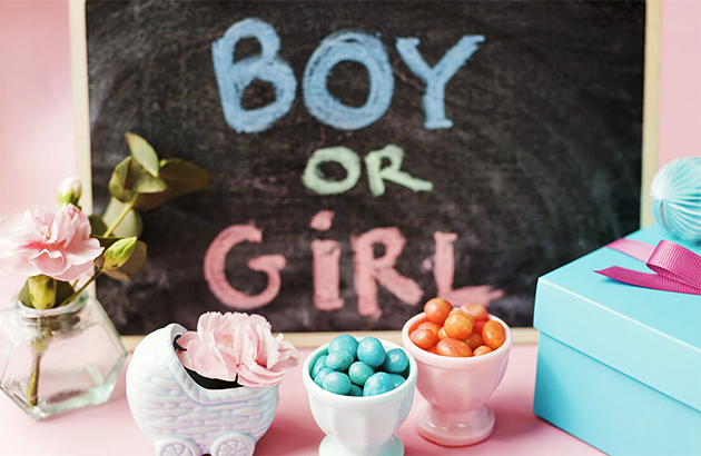 Gebelikte Cinsiyeti Kadın Mı Erkek Mi Belirler?