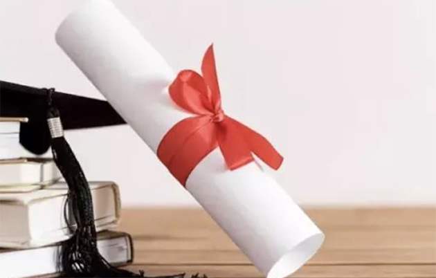 Hollanda’da Gençlik Hizmetlerinde Sahte Diploma Alarmı: 800 Kişi Çocuklarla Çalışıyor Olabilir