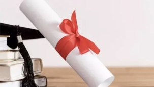 Hollanda’da Gençlik Hizmetlerinde Sahte Diploma Alarmı: 800 Kişi Çocuklarla Çalışıyor Olabilir