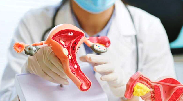 Hollanda’da Her Yıl Yaklaşık 900 Kadına Rahim Ağzı Kanseri Teşhisi Konuyor: İşte Bilinmesi Gerekenler