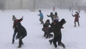Kış Koşulları Hollanda'da Okullarda Aksamalara Yol Açtı: Bazı Okullar Çarşamba Günü De Kapalı
