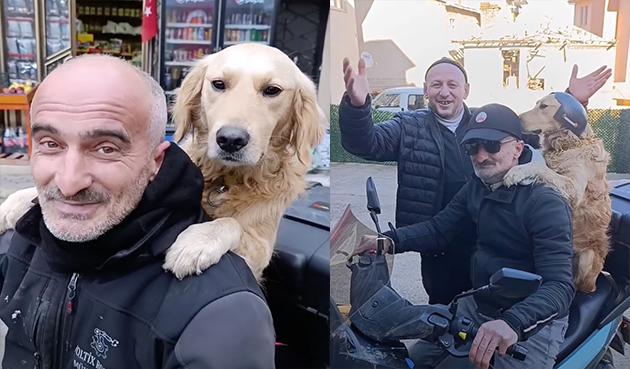 Kocaeli’de Motosikletle Yolculuk Yapan ‘Umut’ İsimli Labrador, Görenleri Kendine Hayran Bırakıyor