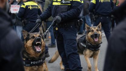 Hollanda'da Polis Köpeklerinin Kullanımı Tartışma Konusu Oldu