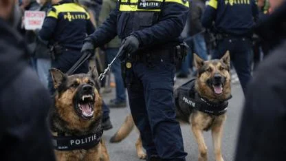 Hollanda'da Polis Köpeklerinin Kullanımı Tartışma Konusu Oldu