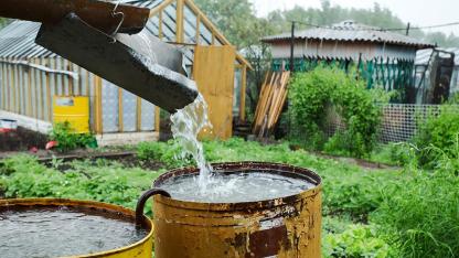 Hollanda'da Su Seviyesi Olağanüstü Düşük: Yağmur Suyu Bidonu Çağrısı