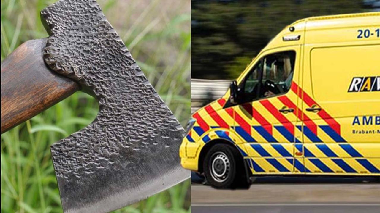 Hollanda’da Annesinin Başını Baltayla Kesen Sanık: “Beatrix’in Bana Talimat Verdiğini Sanıyordum”