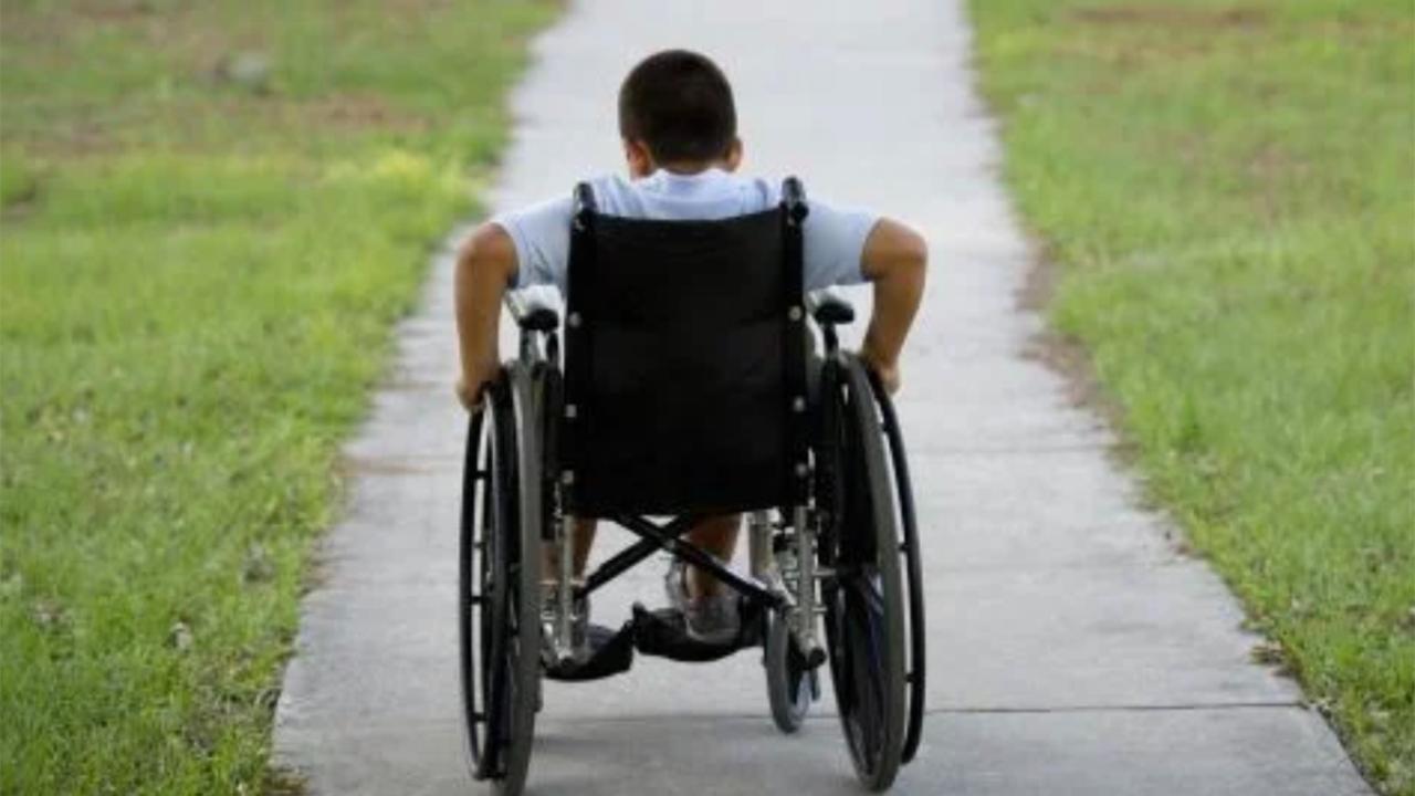 Hollanda’da Binlerce Wajong Ödeneği Kesiliyor: “Çalıştığımız İçin Cezalandırılıyoruz” Tepkisi