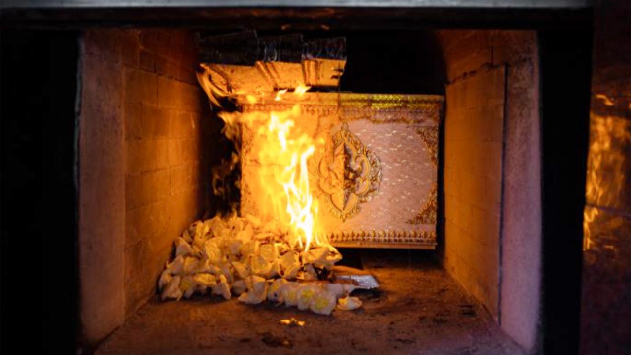 Hollanda’da Ölen Evcil Hayvan Yakılması Fiyatları Yüzde 50 Arttı