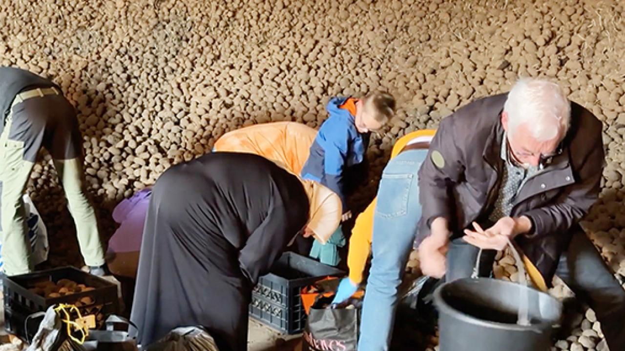 Hollanda’da Patates Çılgınlığı! 50 Kilo Patatas 10 Euro