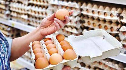 Hollanda’da Yumurta Fiyatları Rekor Kırdı! Son Beş Yılda Yüzde 38 Zam Geldi