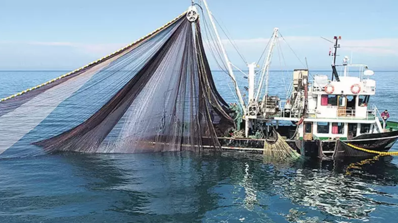 Hollandalı Balıkçılar Yüksek Yakıt Fiyatları Nedeniyle Denize Açılmıyor