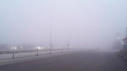 Hollanda'nın Kuzeyinde Yoğun Sis Alarmı: Görüş Mesafesi 200 Metrenin Altına Düştü