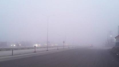 Hollanda’da Yoğun Sis Uyarısı: Ardından Bahar Havası Bekleniyor