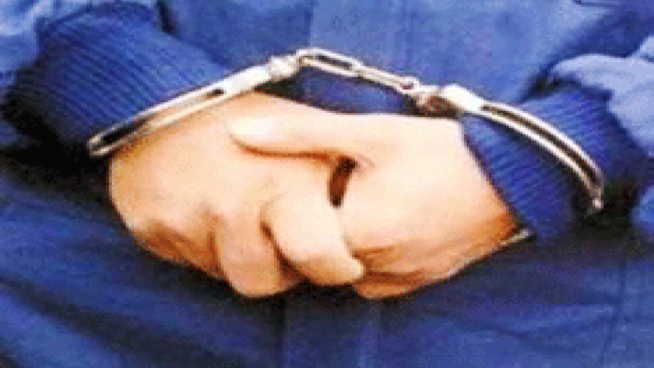 Vlissingen’de Bir Kişi, İş Aracından Hırsızlık Yapan Şüpheliyi Suçüstü Yakaladı