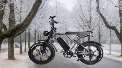 Amsterdam Vondelpark’ta Fatbike Yasağı Başlıyor: 11 Mayıs’tan Sonra Ceza Uygulanacak