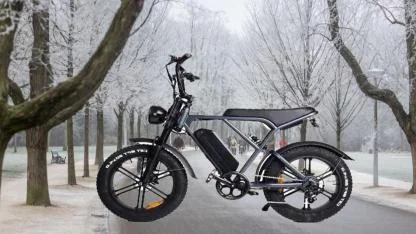 Amsterdam Vondelpark’ta Fatbike Yasağı Başlıyor: 11 Mayıs’tan Sonra Ceza Uygulanacak