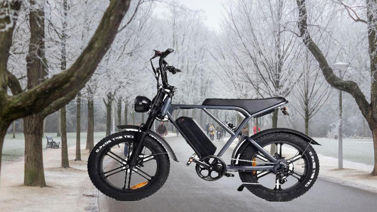 Amsterdam Vondelpark’ta Fatbike Yasağı Başlıyor: 11 Mayıs’tan Sonra Ceza Uygulanacak