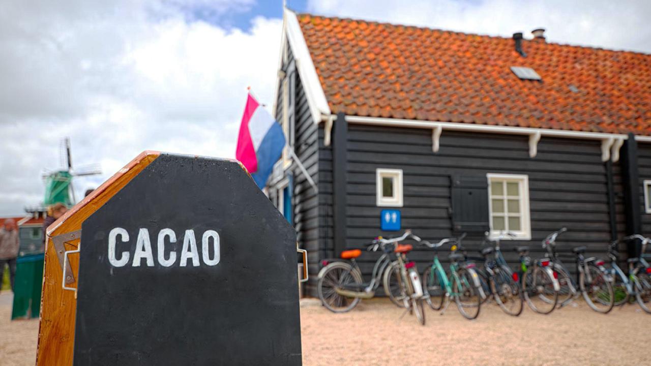 Hollanda, Kakao İhracatında Dünya Lideri Oldu