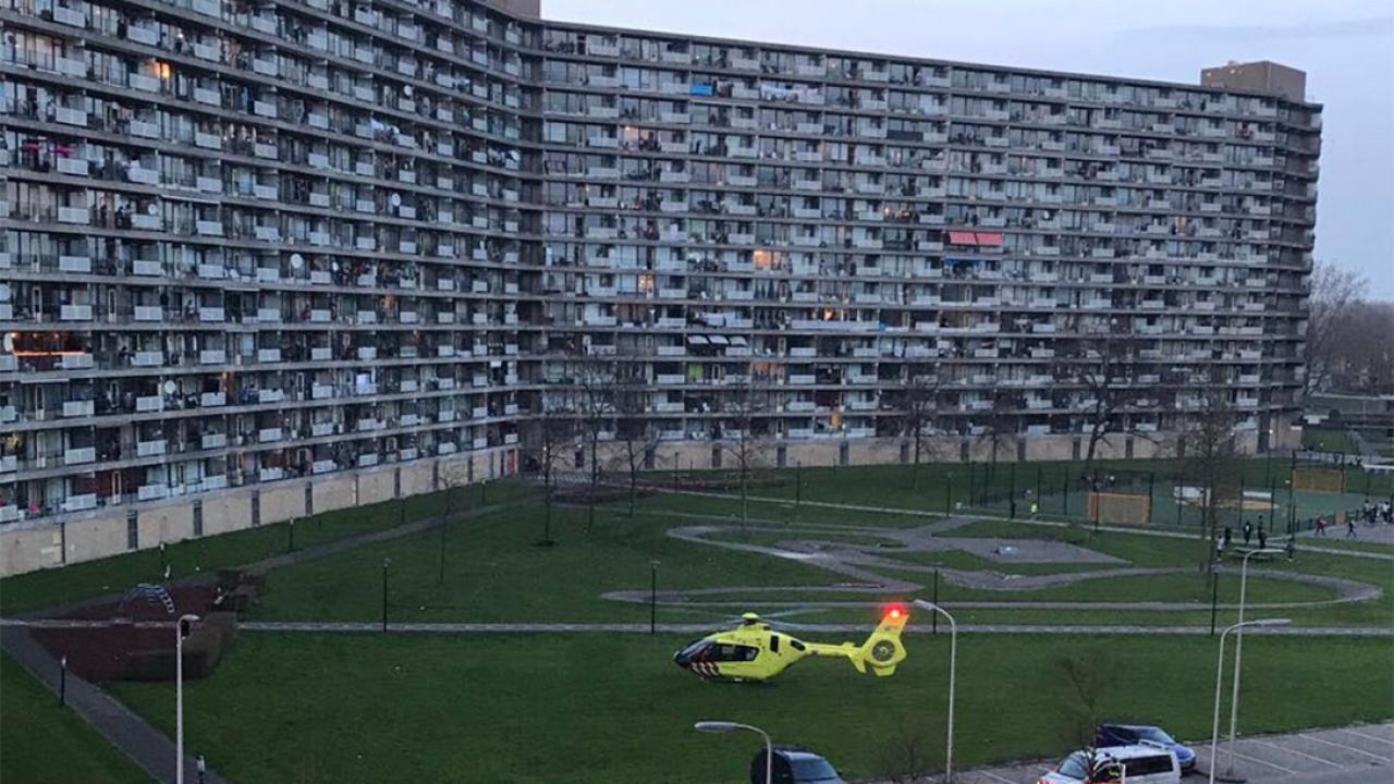 Hollanda'da Aynı Okuldaki 16 ve 14 Yaşındaki İki Öğrencinin İntiharı Ülkeyi Şok Etti