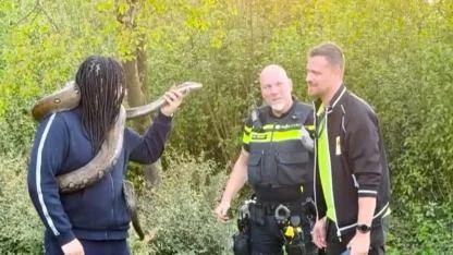 Hollanda’da Korku Dolu Anlar: Kaçan Piton Çalılıklar Arasında Bulundu