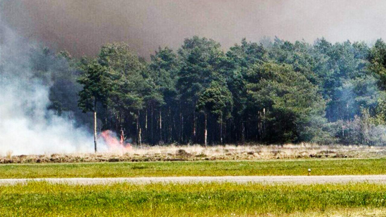 Hollanda’da Orman Yangınları: Budel’de 1500 Sığınmacı Tahliye Edildi