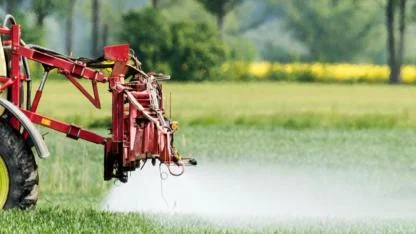 Hollanda'da PFAS İçeren tarım İlaçlarına Yasak Gündemde: Patates Üretimi Risk Altında