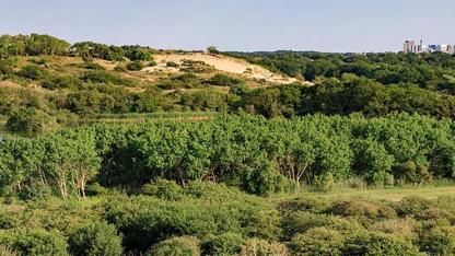 'Hollandse Duinen' Ülken'nin Yeni Ulusal Park'ı Olarak İlan Edildi