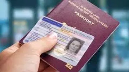 Hollanda’da Siber Saldırı: Epe’de Tüm Sakinlerin Verileri Ele Geçirildi, Binlerce Kimlik Kopyası Çalındı